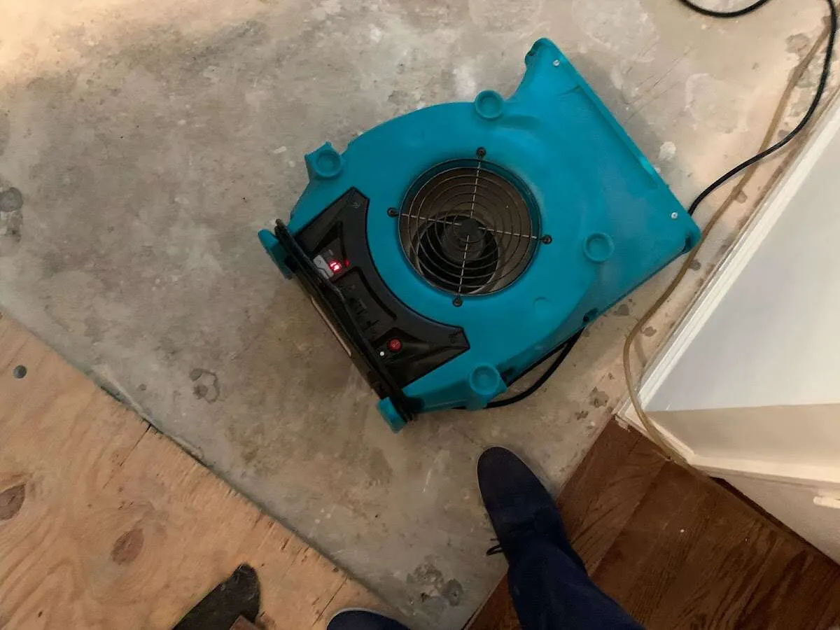 Air mover drying subfloor during Leak Detection & Repair in Fort Mitchell